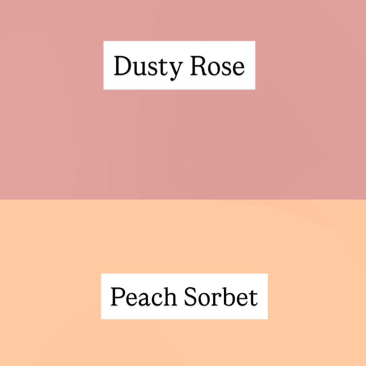 Paint Bottle Organizer