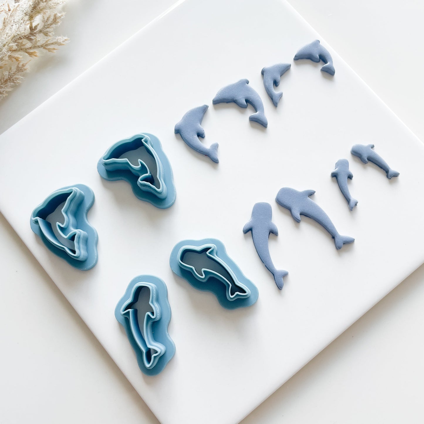 Summer dolphin whale shark beach cutters