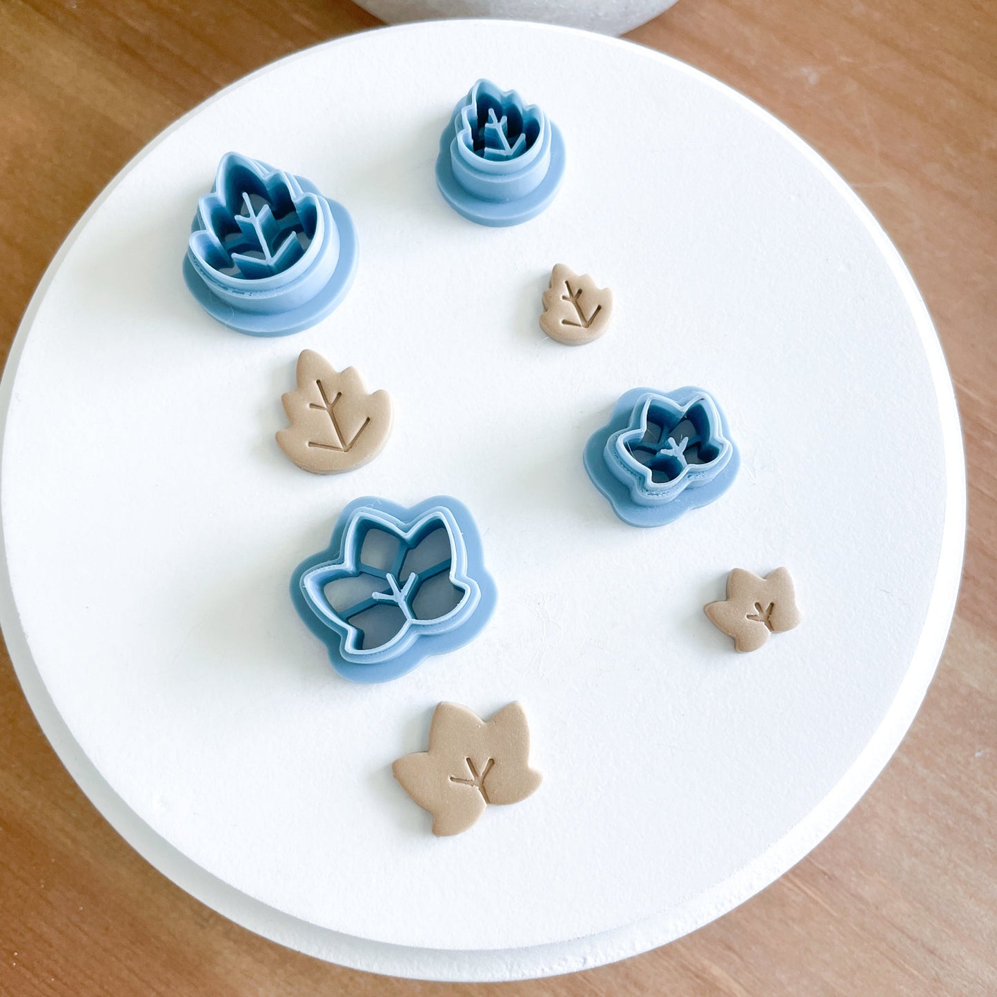 Fall Leaves (Multiple Sizes)