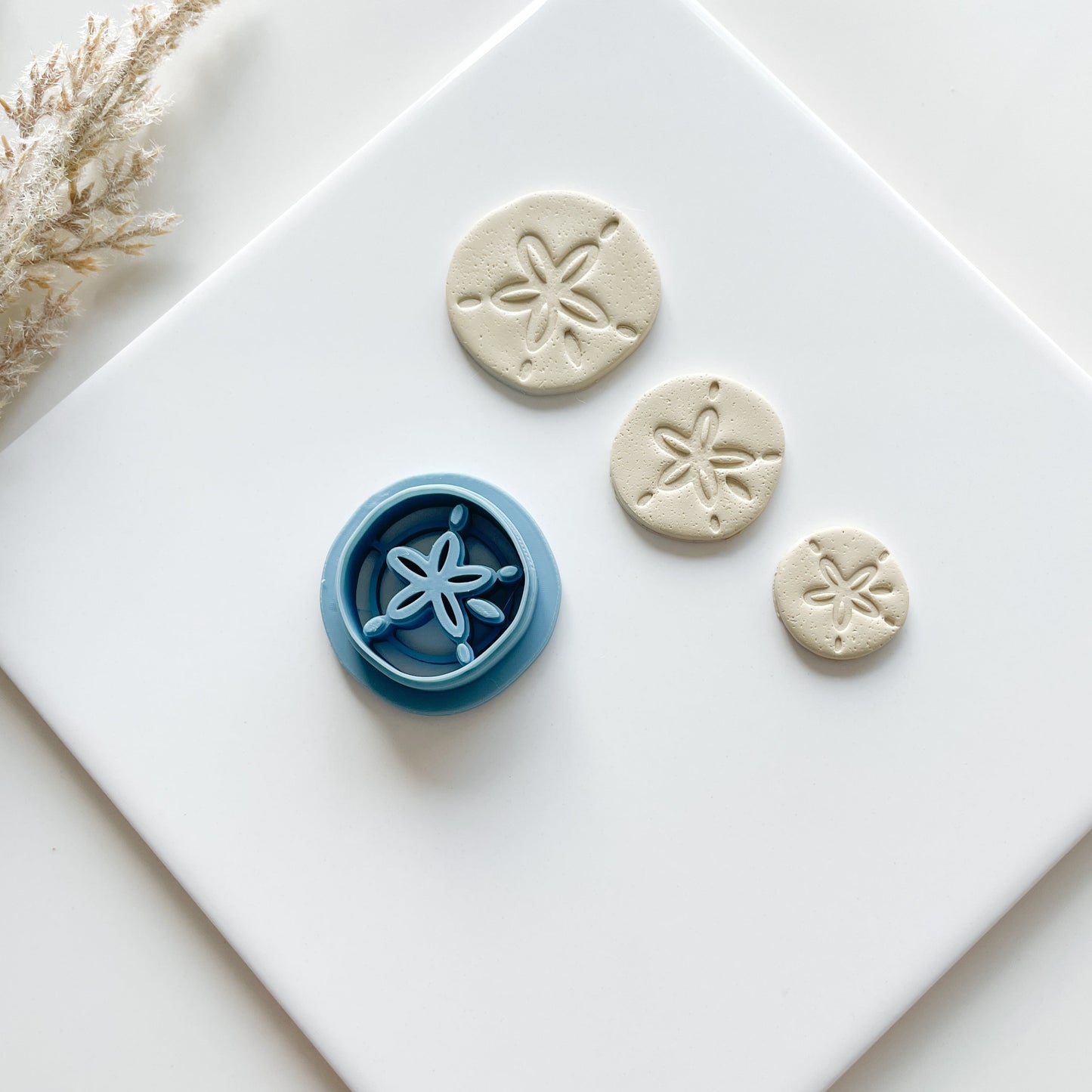Sand Dollar Clay Cutter