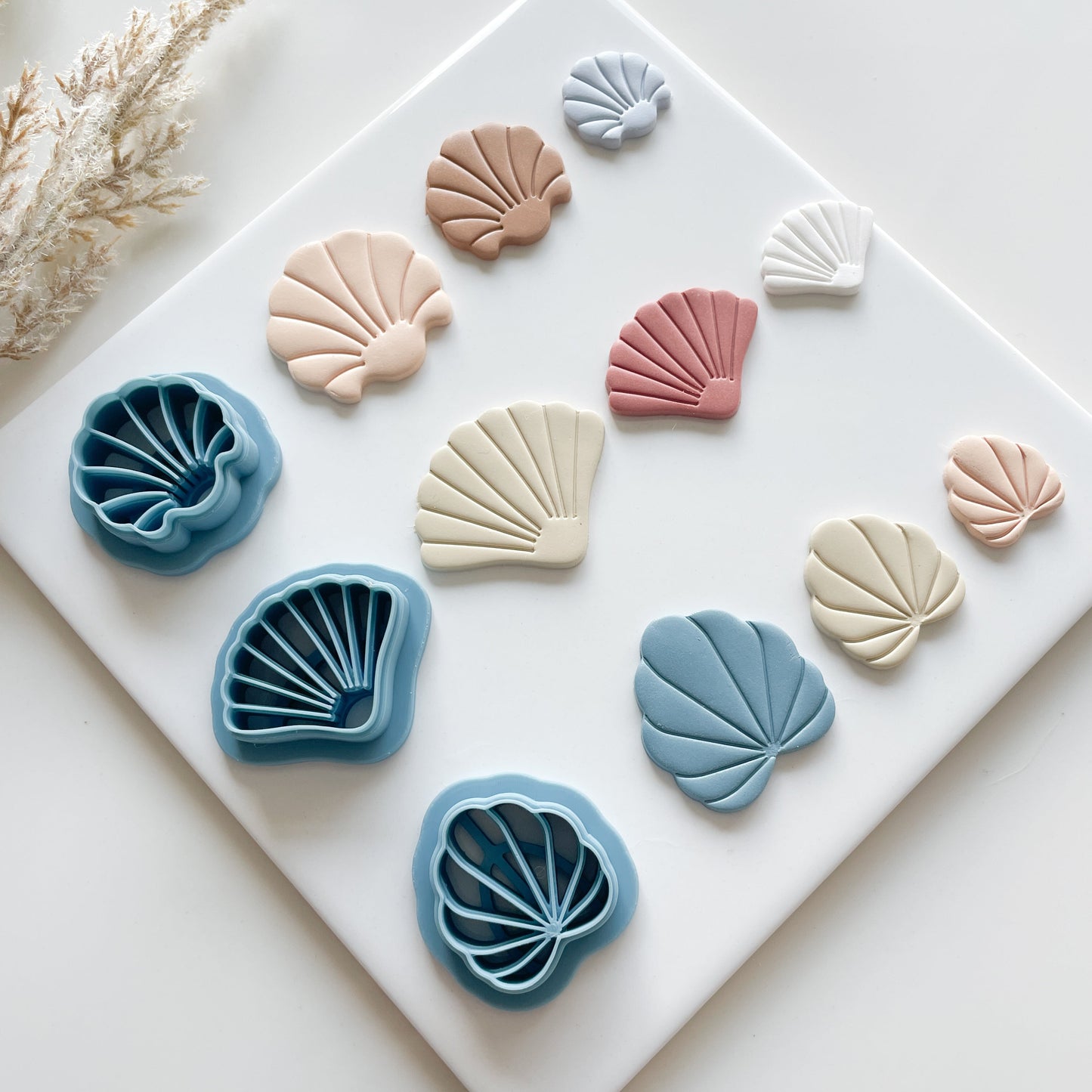 Seashell Clay Cutters