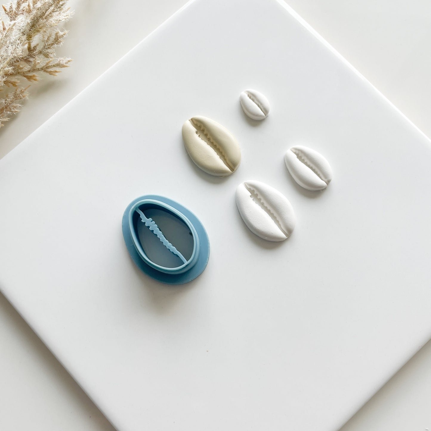 Cowrie Shell Clay Cutter