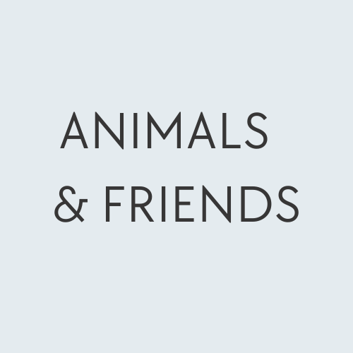 Animals & Friends