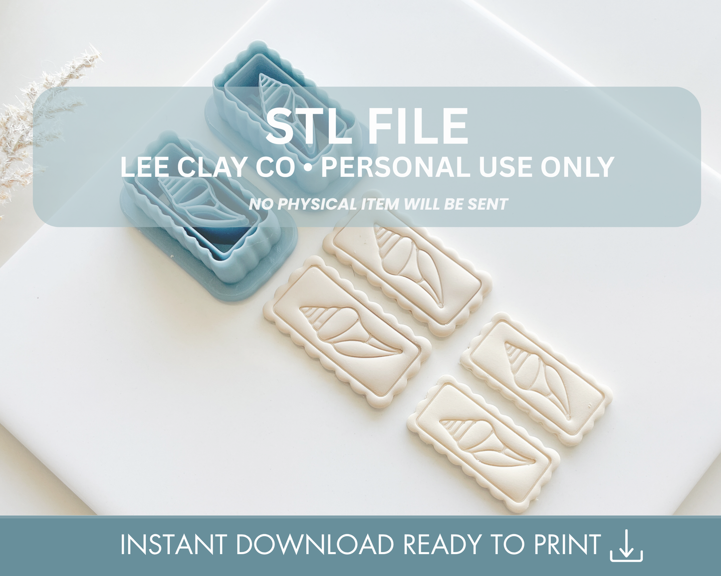 Coastal Scallop Shell Frame STL Bundle (2 sizes | 4 cutters)