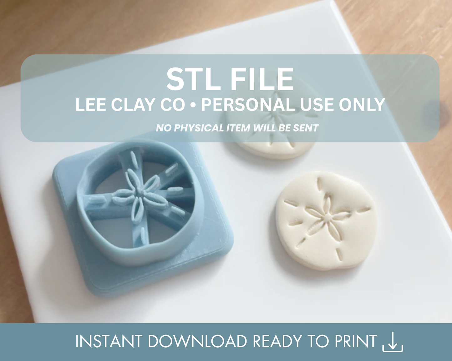 Sand Dollar STL File