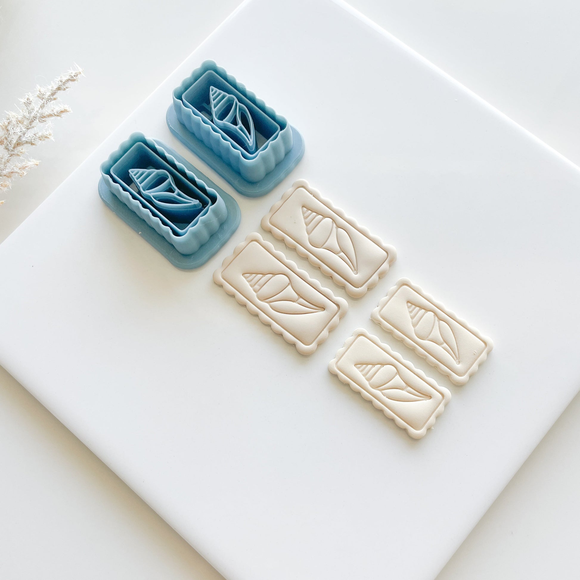 Seashell Clay Cutter